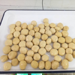 canned whole champignon mushroom 3100ml
