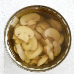 canned sliced champignon mushroom 425ml