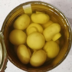 canned whole champignon mushroom 850ml